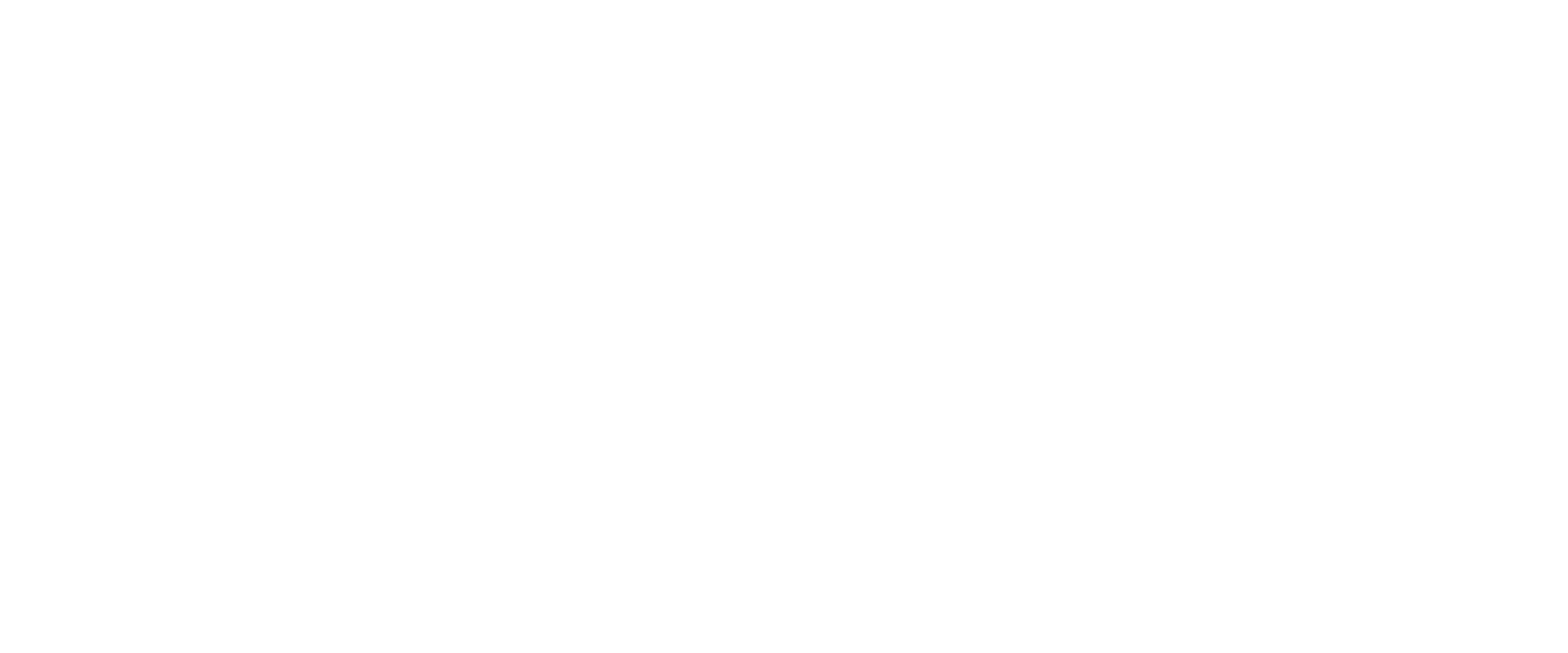 rayus mmi logo